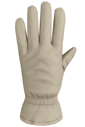 Auclair Demi Gloves - Women