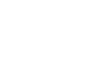 Vector