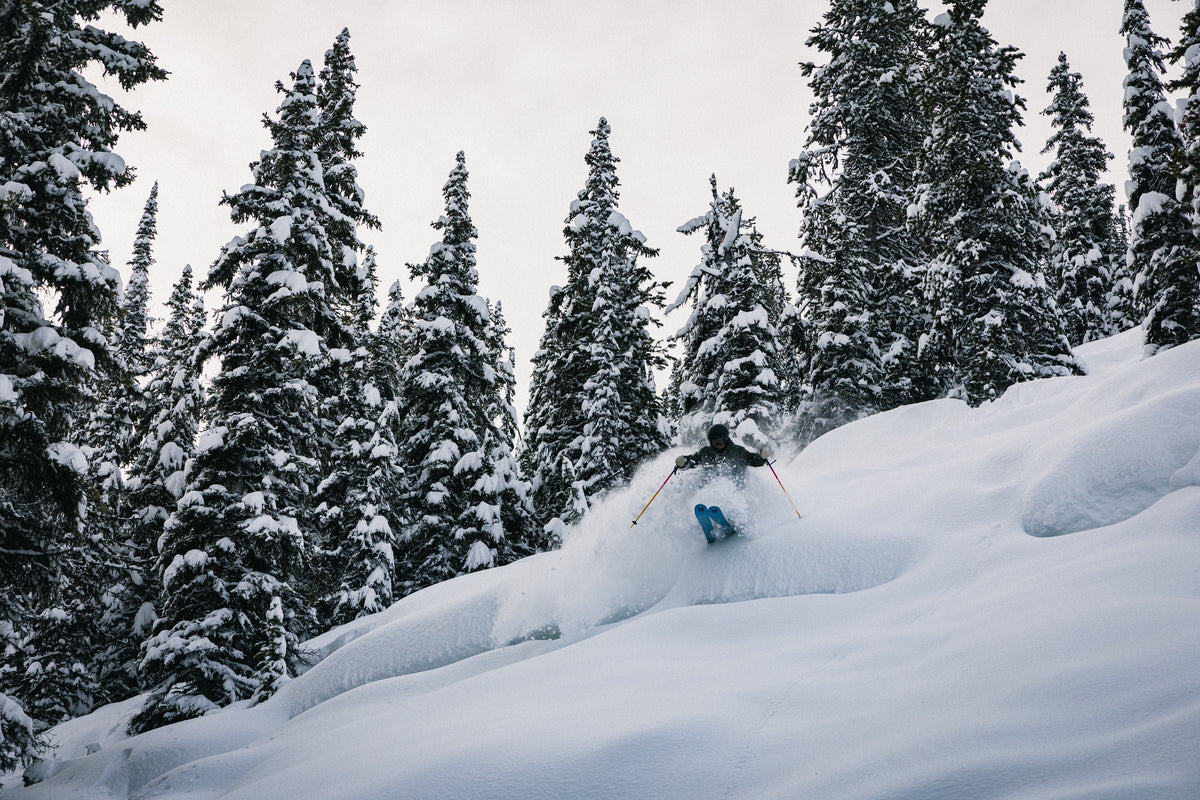 Skier in deep powder among snowy trees on Faction skis