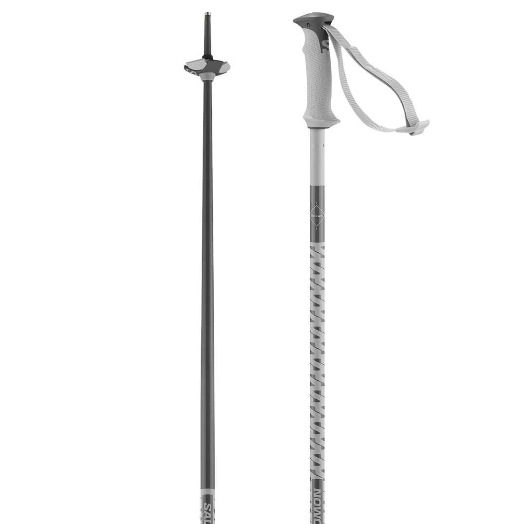 Winter Ski Poles