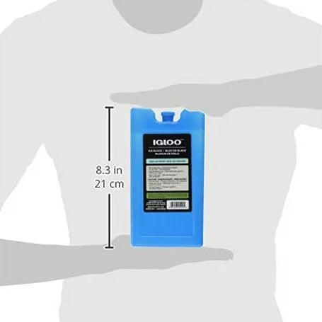 Igloo Ice Block Medium