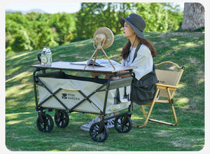 Mobi Garden SC Iron Low Chair (2026)