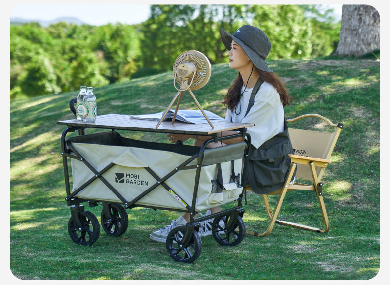 Mobi Garden SC Iron Low Chair (2026)
