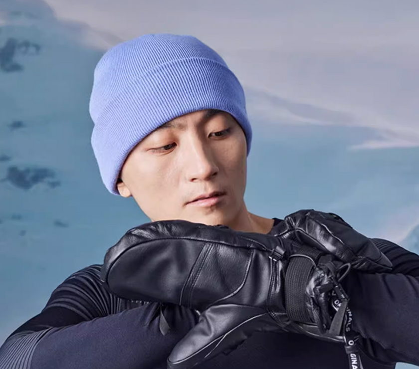 Goski Coisini Beanie Purple