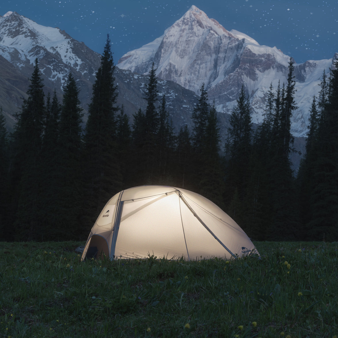 Tent illuminated in a forest with snow-capped mountains in the background