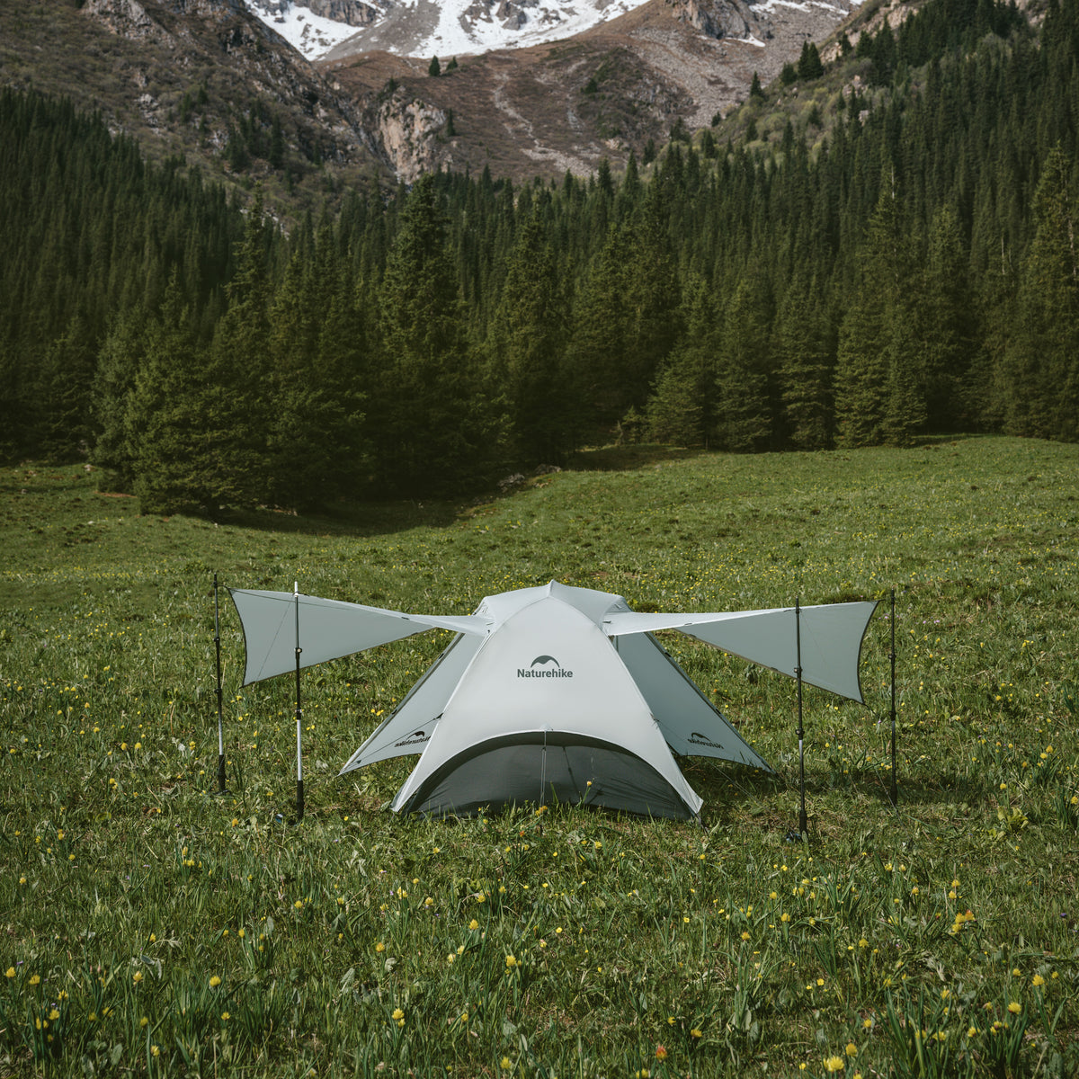 Tent with an attached flysheet in a grassy field with mountains and trees in the background