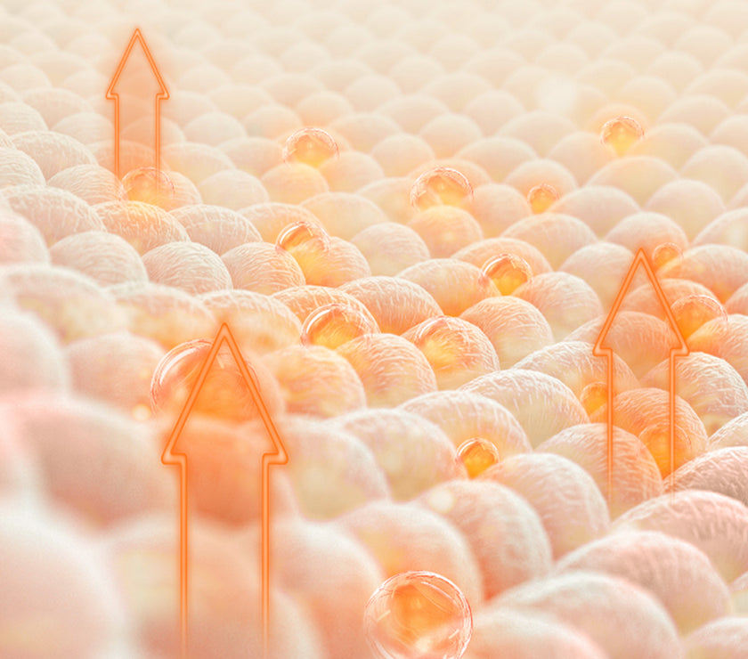 Naturehike (Yugu)Comfort Automatic Inflatable Cushion Double With Inner Inflatable Pump