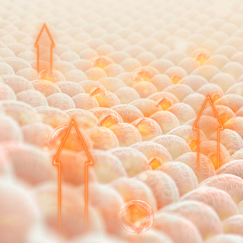 Naturehike (Yugu)Comfort Automatic Inflatable Cushion Double With Inner Inflatable Pump