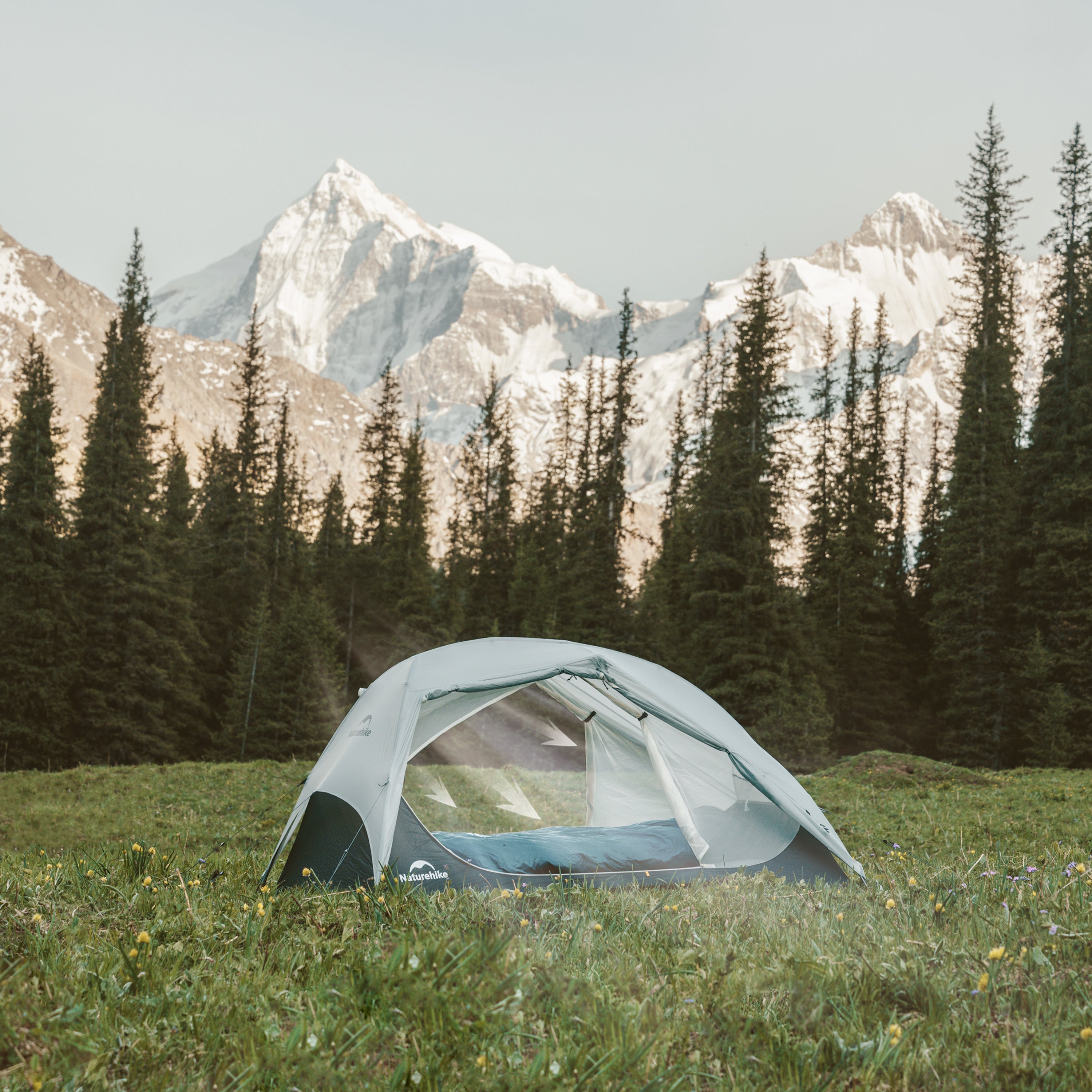 Tent in a grassy field with mountains and trees in the background