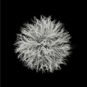 Naturehike Snowbird Mummy Down Sleeping Bag SP700