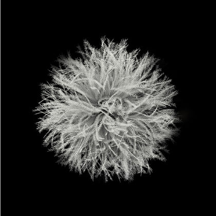 Naturehike Snowbird Mummy Down Sleeping Bag SP700