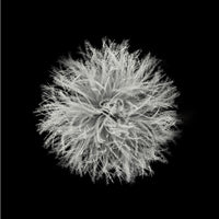 Naturehike Snowbird Mummy Down Sleeping Bag SP700