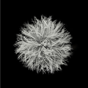 Naturehike Snowbird Mummy Down Sleeping Bag SP700