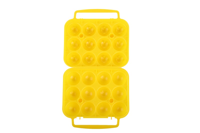 Coghlan's Egg Holder (2026)