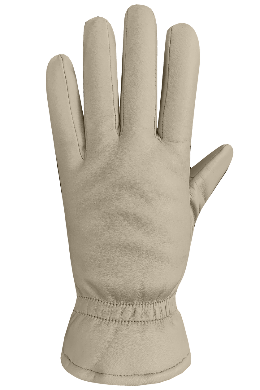 Auclair Demi Gloves - Women