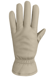 Auclair Demi Gloves - Women