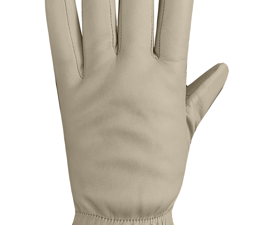 Auclair Demi Gloves - Women