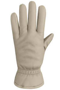 Auclair Demi Gloves - Women