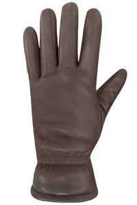 Auclair Demi Gloves - Women