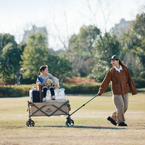 Naturehike Folding Wagon TC03 Compact and Lightweight Design