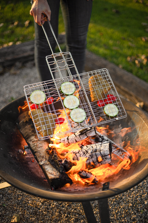 Coghlan's Deluxe Broiler (2026)