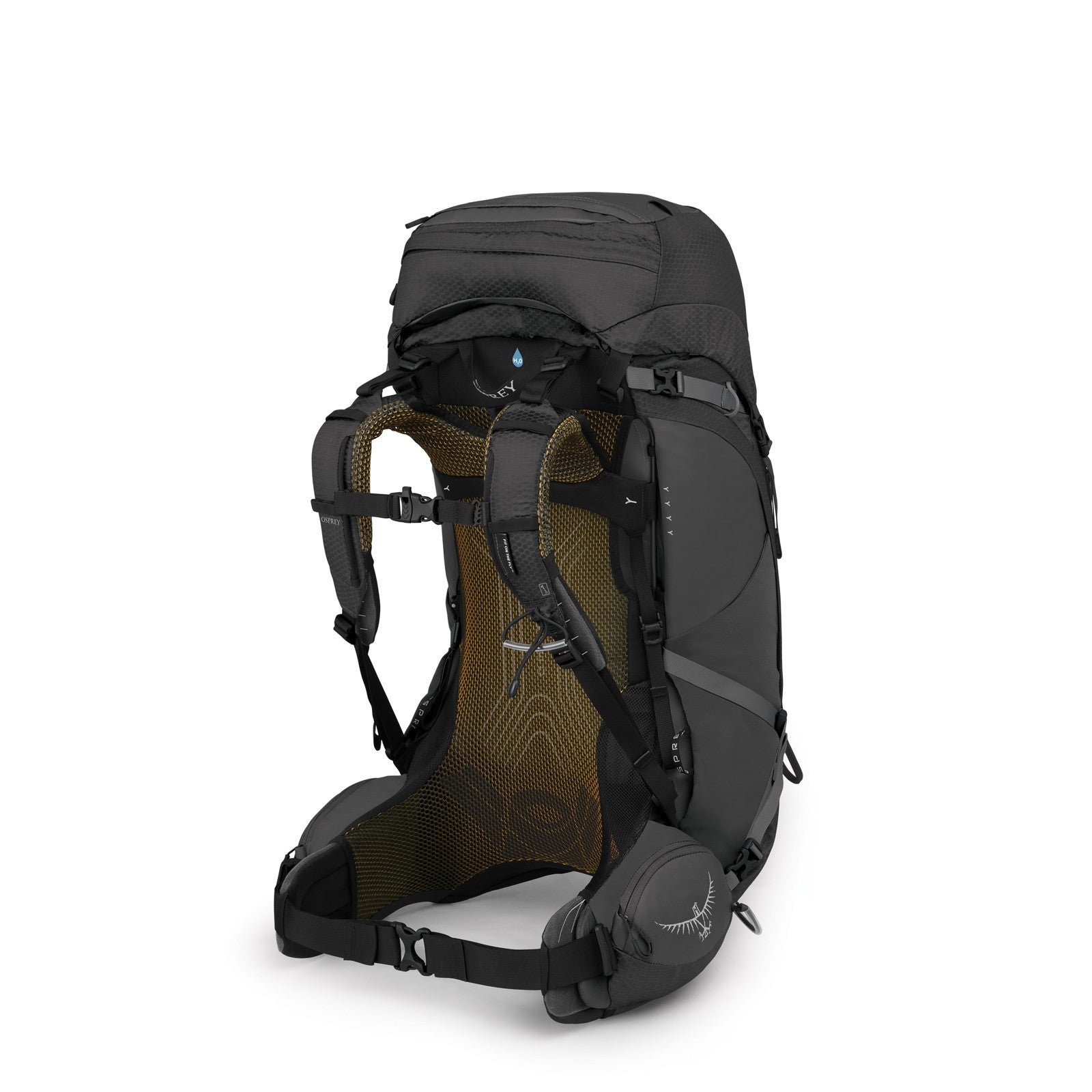 Osprey Atmos AG 50 suspended-mesh backpanel rear view