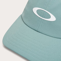 OAKLEY PERFORMANCE 6 PANEL