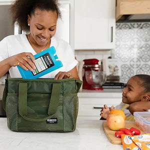 Igloo Ice Block Large