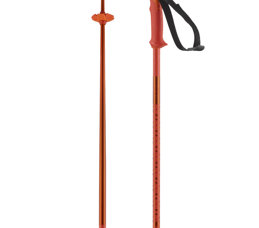 Salomon Polar Ski Poles