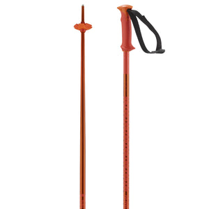 Salomon Polar Ski Poles