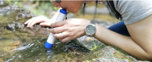 Pristine Water Purification Straw