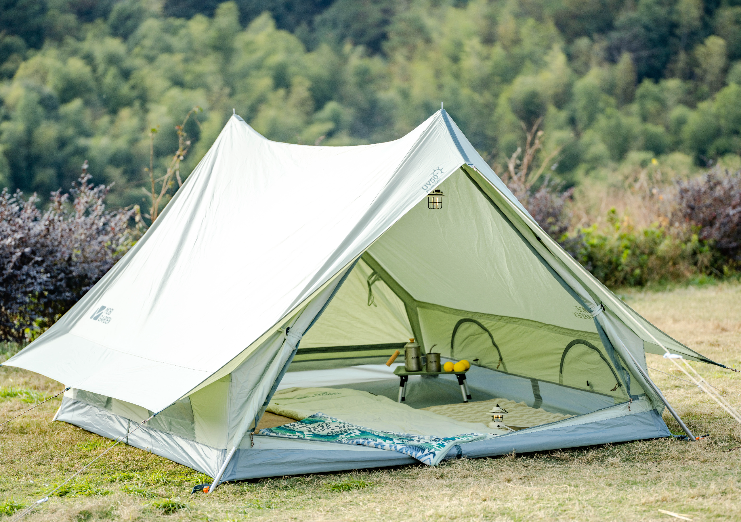 Camping tent set up in a grassy area with trees in the background