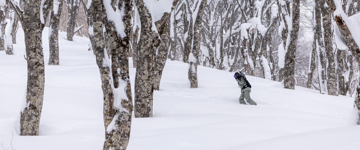 Snowboarder riding powder through snowy birch trees