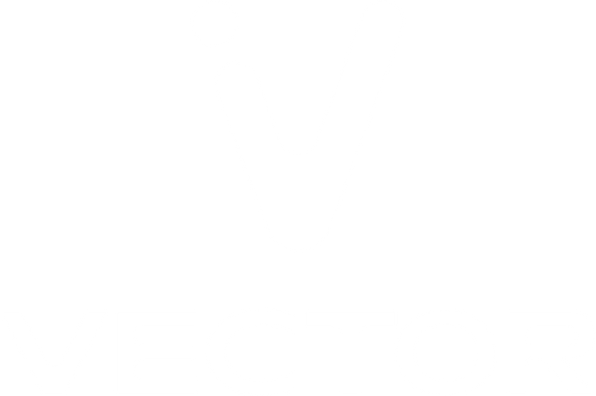 Vector