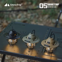 ShineTrip ST 05 Series Vintage Pendant LED Lights