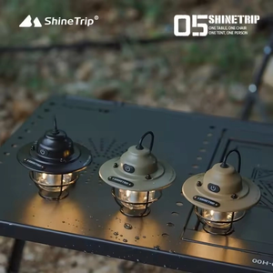 ShineTrip ST 05 Series Vintage Pendant LED Lights