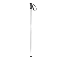 Elan Hotrod Ski Pole