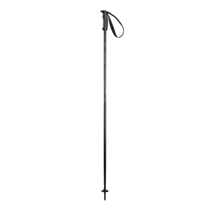 Elan Hotrod Ski Pole