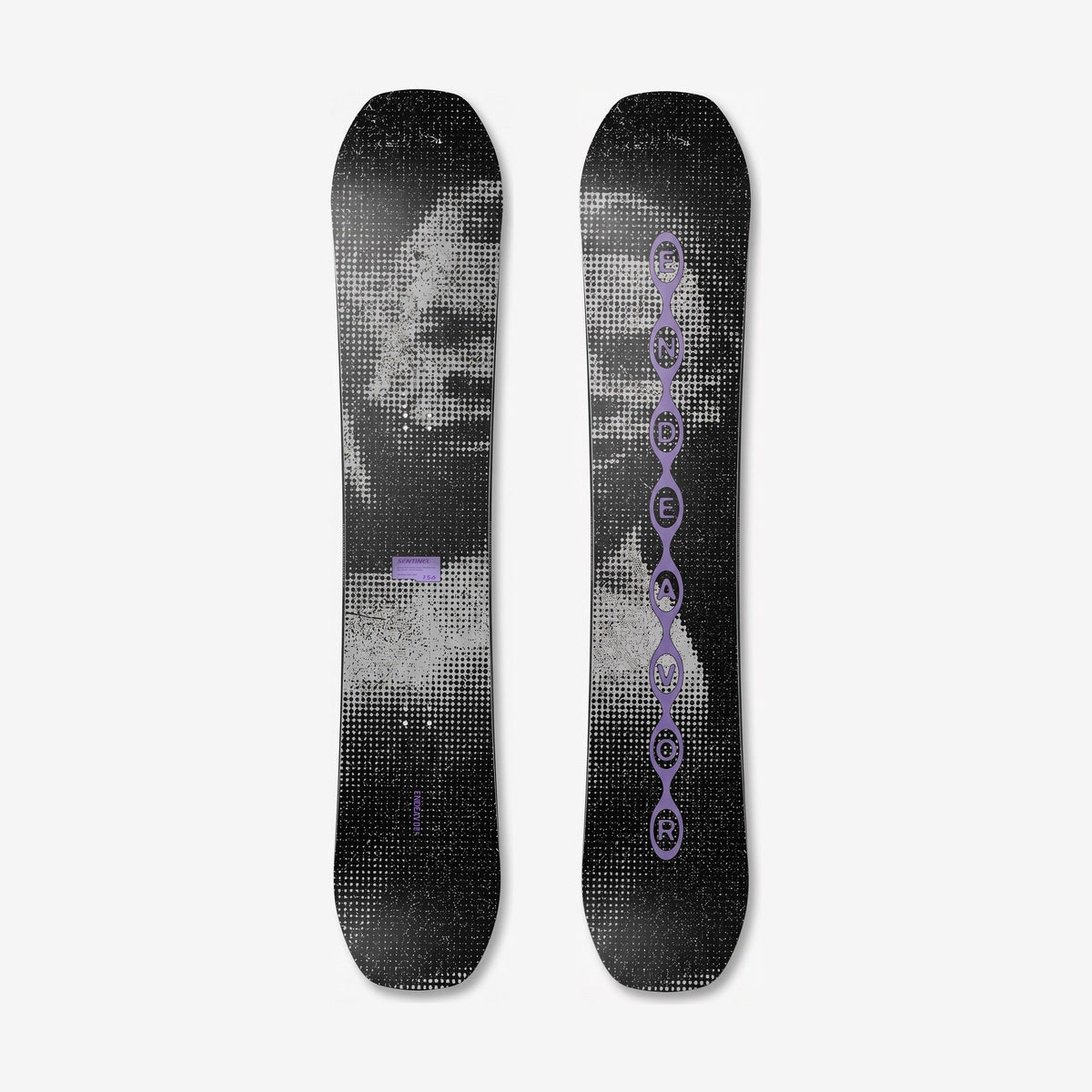 Endeavor Sentinel Snowboard - Unisex - top and base detail