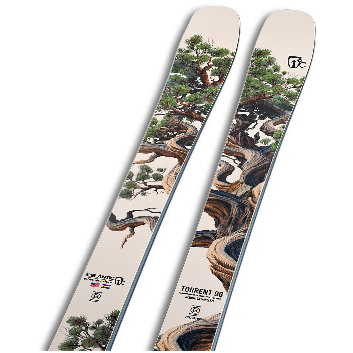 Icelantic Torrent 96 Skis - Men's - tip detail