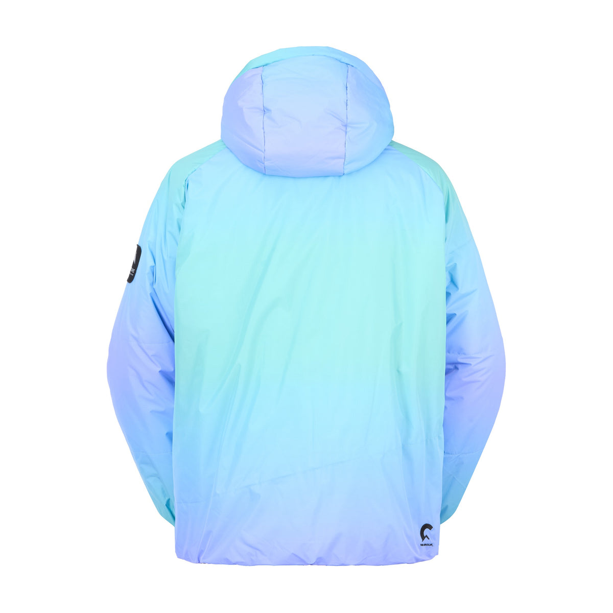 Picture Puffer GRDT Jacket - Men's - Frozen Gradient Print, back