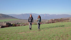 Naturehike Cloud Up 2 Person Tent - Navy