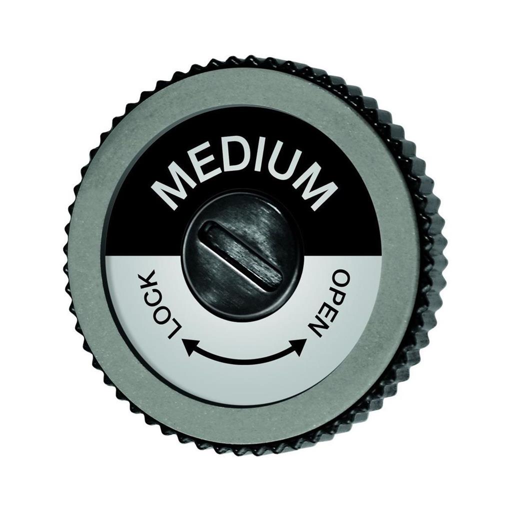 Swix Evo Pro Edger Medium Disc