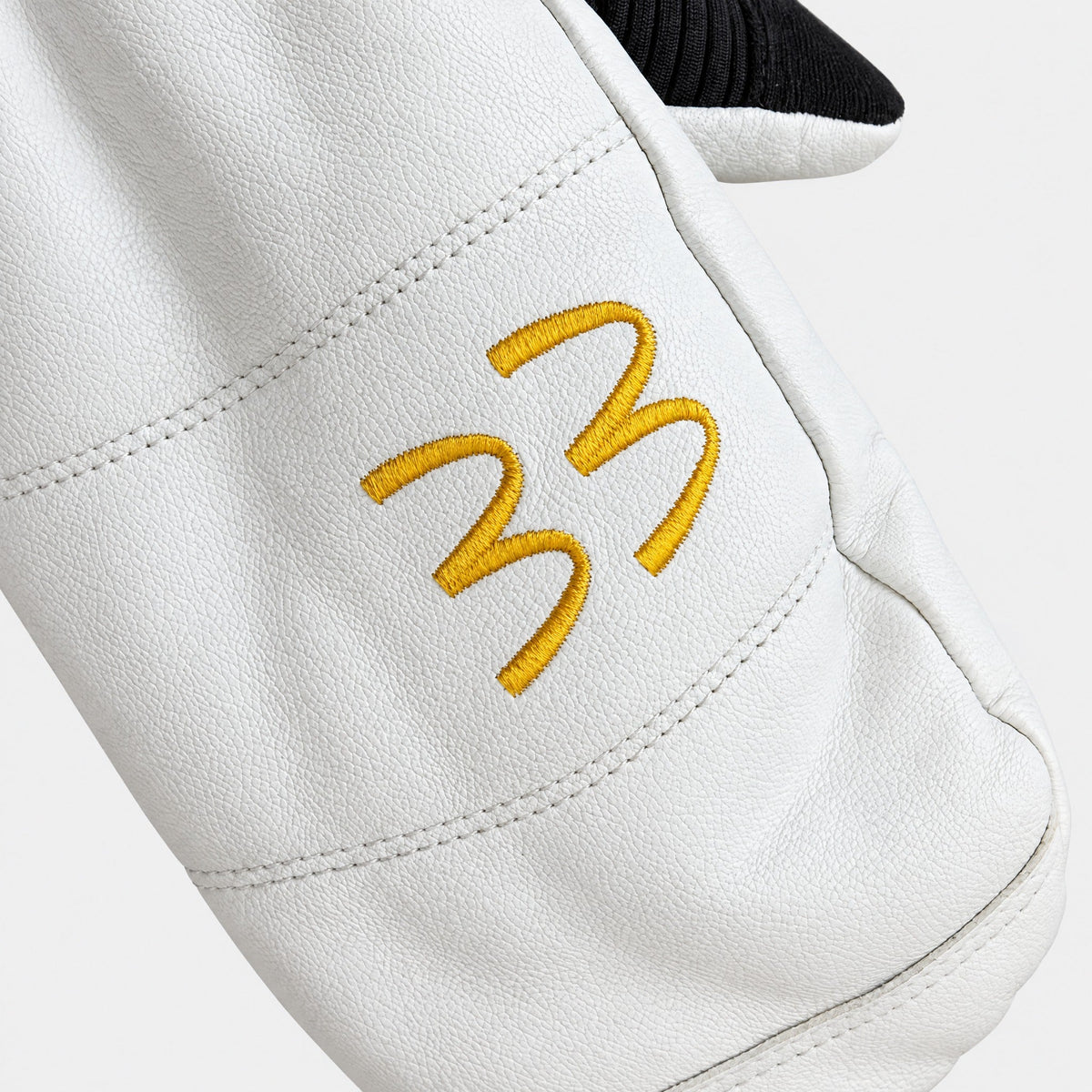 Transform Photo Incentive Mitt — Eero Ettala Pro, 33 embroidery detail