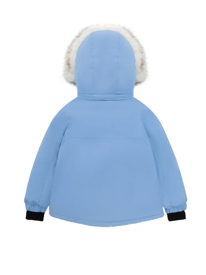 Vector Emote Snowpark Slash 2L Jacket — Blue, back