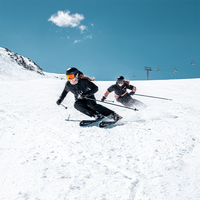 Elan Wildcat 82 Ti Ps Elw 9.0 Gw